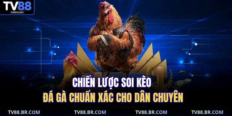 Đá Gà Cựa Sắt – Trực Tiếp Hấp Dẫn, Cược Lớn Thắng To 4 Chiến lược soi kèo đá gà chuẩn xác cho dân chuyên