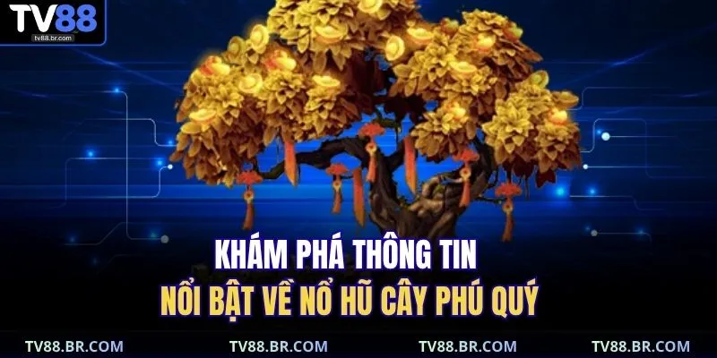 Nổ Hũ Cây Phú Quý – Quay May Mắn, Săn Hũ Vàng Cực To 2 Khám phá thông tin nổi bật về nổ hũ Cây Phú Quý