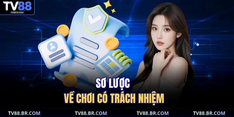 Sơ lược về chơi có trách nhiệm